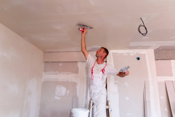 Best Ceiling Drywall Installation  in Opa Locka, FL